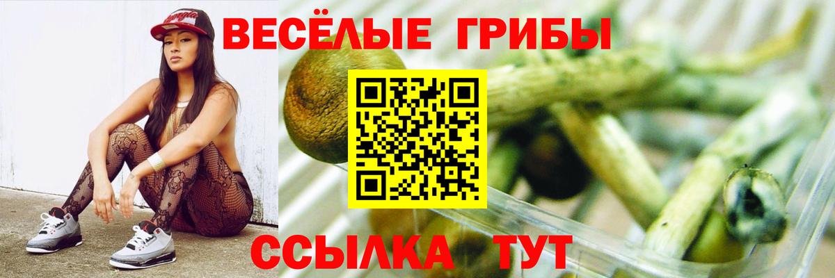 Псилоцибиновые грибы Magic Shrooms Выборг