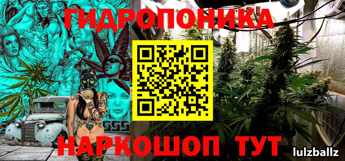 Марихуана Bruce Banner Выборг